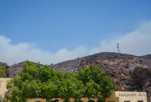 Fire in Los Gallardos, Almería The Los Gallardos area in Almería affected by the wildfire, as of July 10, 2026, in Los Gallardos, Almería, Andalusia, Spain. The wildfire that broke out this Thursday, July 9, in the Almería town of Los Gallardos has left eleven dead and eight injured, four of them seriously, according to the latest update, which notes that efforts are ongoing to determine whether there may be more victims, as 19 people are currently missing. In addition, some 200 personnel from the Military Emergency Unit (UME) have been deployed around the wildfire, which is showing an unfavorable trend. JULY 10, 2026 Francisco J Los Gallardos, Almería, Andalusia Los Gallardos, Almería, Andalusia Spain  Copyright: xFranciscoxJ.xOlmox 7657395