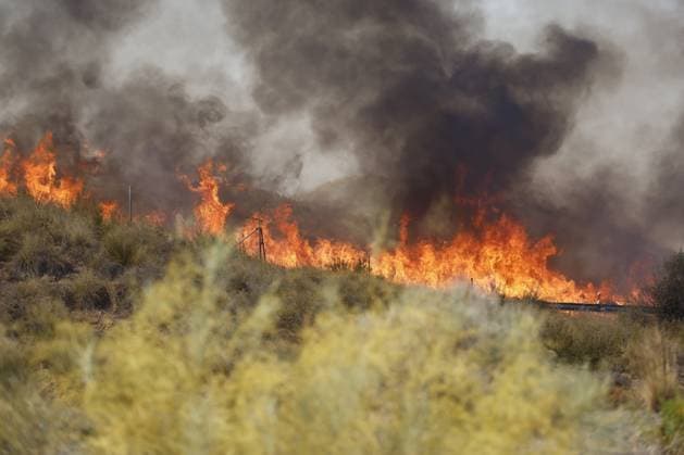 Forest fire kills at least 12 in southern Spain ALMERIA, SPAIN - JULY 10: Intense flames consume dry brush and vegetation on a hillside during a massive wildfire while evacuation and firefighting efforts continue in the Los Gallardos district of Almeria, Spain on July 10, 2026. At least 12 people were killed in a forest fire that broke out Thursday in Los Gallardos municipality in Almeria province in Spain’s southern Andalusia region, broadcaster RTVE reported. According to Andalusia’s emergency services, the victims were found in a hamlet of the neighboring municipality of Bedar, with some discovered inside vehicles engulfed by the flames. Pablo Miranzo Anadolu Almeria Spain. Editorial use only. Please get in touch for any other usage.  Copyright: x2026xAnadoluxPabloxMiranzox