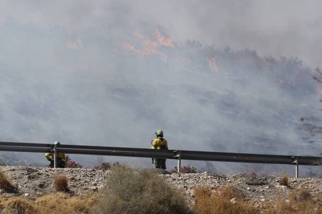 Forest fire kills at least 12 in southern Spain ALMERIA, SPAIN - JULY 10: A firefighter stands behind a roadside guardrail looking toward heavy smoke rising from a massive wildfire while evacuation and firefighting efforts continue in the Los Gallardos district of Almeria, Spain on July 10, 2026. At least 12 people were killed in a forest fire that broke out Thursday in Los Gallardos municipality in Almeria province in Spain’s southern Andalusia region, broadcaster RTVE reported. According to Andalusia’s emergency services, the victims were found in a hamlet of the neighboring municipality of Bedar, with some discovered inside vehicles engulfed by the flames. Pablo Miranzo Anadolu Almeria Spain. Editorial use only. Please get in touch for  Copyright: x2026xAnadoluxPabloxMiranzox