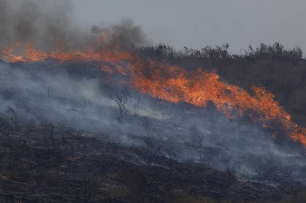 Forest fire kills at least 12 in southern Spain ALMERIA, SPAIN - JULY 10: A wall of fire sweeps across a dry hillside generating thick smoke during a massive wildfire while evacuation and firefighting efforts continue in the Los Gallardos district of Almeria, Spain on July 10, 2026. At least 12 people were killed in a forest fire that broke out Thursday in Los Gallardos municipality in Almeria province in Spain’s southern Andalusia region, broadcaster RTVE reported. According to Andalusia’s emergency services, the victims were found in a hamlet of the neighboring municipality of Bedar, with some discovered inside vehicles engulfed by the flames. Pablo Miranzo Anadolu Almeria Spain. Editorial use only. Please get in touch for any other usa  Copyright: x2026xAnadoluxPabloxMiranzox