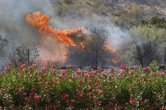 Forest fire kills at least 12 in southern Spain ALMERIA, SPAIN - JULY 10: Heavy smoke blankets the horizon during emergency containment efforts at a massive wildfire while evacuation and firefighting efforts continue in the Los Gallardos district of Almeria, Spain on July 10, 2026. At least 12 people were killed in a forest fire that broke out Thursday in Los Gallardos municipality in Almeria province in Spain’s southern Andalusia region, broadcaster RTVE reported. According to Andalusia’s emergency services, the victims were found in a hamlet of the neighboring municipality of Bedar, with some discovered inside vehicles engulfed by the flames. Pablo Miranzo Anadolu Almeria Spain. Editorial use only. Please get in touch for any other usag  Copyright: x2026xAnadoluxPabloxMiranzox