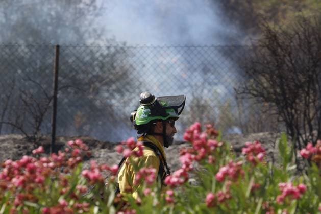 Forest fire kills at least 12 in southern Spain ALMERIA, SPAIN - JULY 10: Side profile of a firefighter wearing protective headgear near pink flowers with smoke in the background during a massive wildfire while evacuation and firefighting efforts continue in the Los Gallardos district of Almeria, Spain on July 10, 2026. At least 12 people were killed in a forest fire that broke out Thursday in Los Gallardos municipality in Almeria province in Spain’s southern Andalusia region, broadcaster RTVE reported. According to Andalusia’s emergency services, the victims were found in a hamlet of the neighboring municipality of Bedar, with some discovered inside vehicles engulfed by the flames. Pablo Miranzo Anadolu Almeria Spain. Editorial use only.  Copyright: x2026xAnadoluxPabloxMiranzox