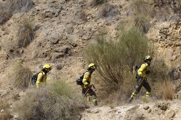 Forest fire kills at least 12 in southern Spain ALMERIA, SPAIN - JULY 10: Firefighters walk in a line along a rugged, dry hillside to combat a massive wildfire while evacuation and firefighting efforts continue in the Los Gallardos district of Almeria, Spain on July 10, 2026. At least 12 people were killed in a forest fire that broke out Thursday in Los Gallardos municipality in Almeria province in Spain’s southern Andalusia region, broadcaster RTVE reported. According to Andalusia’s emergency services, the victims were found in a hamlet of the neighboring municipality of Bedar, with some discovered inside vehicles engulfed by the flames. Pablo Miranzo Anadolu Almeria Spain. Editorial use only. Please get in touch for any other usage.  Copyright: x2026xAnadoluxPabloxMiranzox