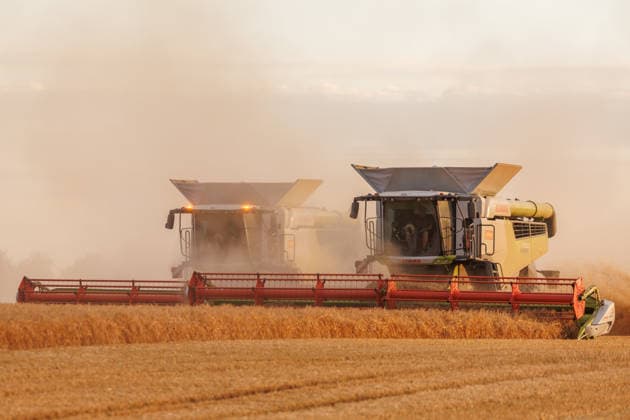 10.07.2026 - Gerste wird geerntet in den Abendstunden auf einem Feld bei Pasewalk Uckerland Wilsickow Brandenburg Deutschland *** July 10, 2026: Barley is being harvested in the evening in a field near Pasewalk, Uckerland, Wilsickow, Brandenburg, Germany