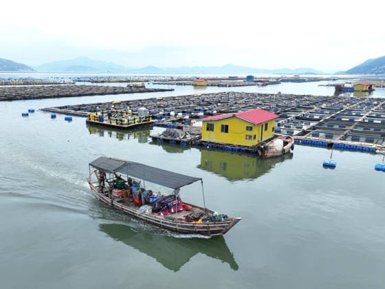 (260711) -- BEIJING, July 11, 2026 -- This drone photo taken on July 10, 2026 shows a fishing boat returning to port to seek shelter in Ningde, southeast China s Fujian Province. China s Ministry of Emergency Management (MEM) on Friday activated a Level III geological disaster emergency response for the country s eastern provinces of Zhejiang and Fujian. According to the MEM, influenced by Typhoon Bavi, the ninth typhoon of 2026, southern Zhejiang and northeastern Fujian are expected to experience heavy to torrential rainfall from Friday to Monday, with some areas facing extremely heavy rainfall. ) XINHUA PHOTOS OF THE DAY JiangxKehong 