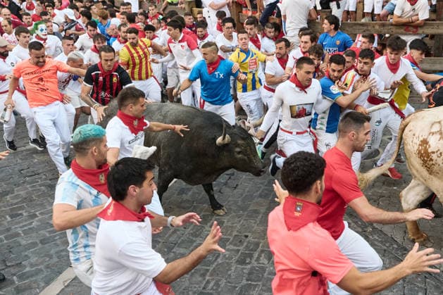 Fifth bull run of the 2026 San Fermín Festival, featuring bulls from the José Escolar ranch; the fifth bull run of the 2026 San Fermín Festival, on July 11, 2026, in Pamplona, Navarre, Spain. In this year’s festival, the fifth running of the San Fermín festivities features bulls from the José Escolar ranch in Spain.  Copyright: xEduardoxSanzx 7658856