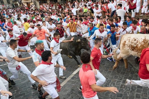 Fifth bull run of the 2026 San Fermín Festival, featuring bulls from the José Escolar ranch; the fifth bull run of the 2026 San Fermín Festival, on July 11, 2026, in Pamplona, Navarre, Spain. In this year’s festival, the fifth running of the San Fermín festivities features bulls from the José Escolar ranch in Spain.  Copyright: xEduardoxSanzx 7658857
