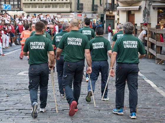 Fifth bull run of the 2026 San Fermín Festival, featuring bulls from the José Escolar ranch; shepherds before the fifth bull run of the 2026 San Fermín Festival, on July 11, 2026, in Pamplona, Navarre, Spain. In this edition, the fifth running of the San Fermín festival features bulls from the José Escolar ranch in Spain.  Copyright: xEduardoxSanzx 7658879