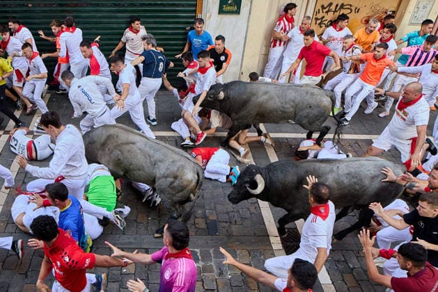 San Fermin Festival in Spain PAMPLONA, SPAIN - JULY 11: Participants wearing traditional white outfits and red scarves take part in the running with the bulls event, known as Encierro, during the San Fermin Festival in Pamplona, northern Spain, on July 11, 2026. The adrenaline-filled run covers an 875-meter stretch through the historic city center. Ruben Albarran Anadolu Pamplona Spain. Editorial use only. Please get in touch for any other usage.  Copyright: x2026xAnadoluxRubenxAlbarranx