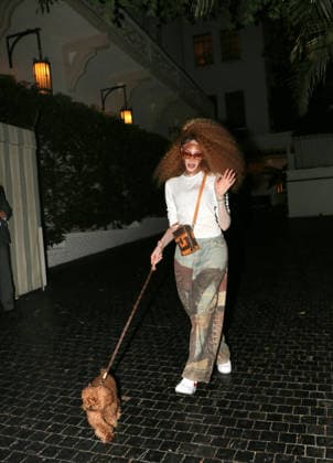 Winnie Harlow walks her dog Roux, Los Angeles, USA, 10 July 2026 Winnie Harlow takes her dog Roux for an evening walk to escape the heat, Los Angeles, USA, 10 July 2026., Credit:MHD Avalon  Copyright: xMHDx xAvalonx 1115904714