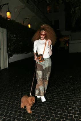 Winnie Harlow walks her dog Roux, Los Angeles, USA, 10 July 2026 Winnie Harlow takes her dog Roux for an evening walk to escape the heat, Los Angeles, USA, 10 July 2026., Credit:MHD Avalon  Copyright: xMHDx xAvalonx 1115904717