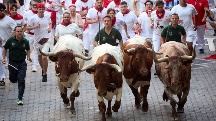 Fifth running of the bulls of San Fermin 2026 with bulls from the Jose Escolar ranch in the section of the alley and entrance to the square, in Pamplona on July 11, 2026. Quinto encierro de San Fermin 2026 con toros de la ganaderia de Jose Escolar en el tramo del callejon y entrada a la plaza, en Pamplona a 11 de julio de 2026. Inigo Alzugaray Cordon Press Cordon Press 