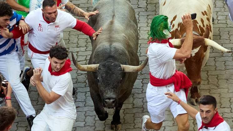 Fifth running of the bulls of San Fermin 2026 with bulls from the Jose Escolar ranch in the section of the alley and entrance to the square, in Pamplona on July 11, 2026. Quinto encierro de San Fermin 2026 con toros de la ganaderia de Jose Escolar en el tramo del callejon y entrada a la plaza, en Pamplona a 11 de julio de 2026. Inigo Alzugaray Cordon Press Cordon Press 