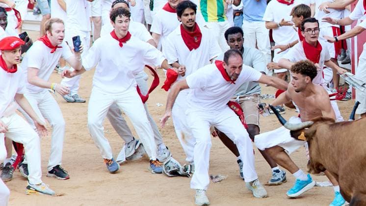 Release of young bulls in the Pamplona Bullring after the fifth bull run of San Fermín 2026, in Pamplona on July 11, 2026 Suelta de vaquillas en la Plaza de Toros de Pamplona tras el quinto de San FermI­n 2026, en Pamplona a 11 de julio de 2026 Inigo Alzugaray Cordon Press Cordon Press 