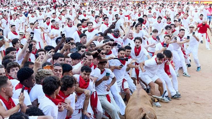 Release of young bulls in the Pamplona Bullring after the fifth bull run of San Fermín 2026, in Pamplona on July 11, 2026 Suelta de vaquillas en la Plaza de Toros de Pamplona tras el quinto de San FermI­n 2026, en Pamplona a 11 de julio de 2026 Inigo Alzugaray Cordon Press Cordon Press 