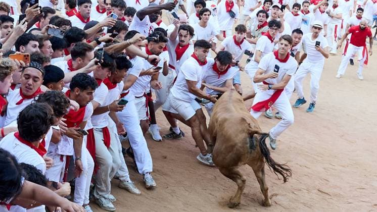Release of young bulls in the Pamplona Bullring after the fifth bull run of San Fermín 2026, in Pamplona on July 11, 2026 Suelta de vaquillas en la Plaza de Toros de Pamplona tras el quinto de San FermI­n 2026, en Pamplona a 11 de julio de 2026 Inigo Alzugaray Cordon Press Cordon Press 