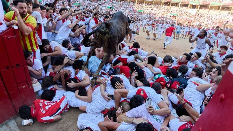 Release of young bulls in the Pamplona Bullring after the fifth bull run of San Fermín 2026, in Pamplona on July 11, 2026 Suelta de vaquillas en la Plaza de Toros de Pamplona tras el quinto de San FermI­n 2026, en Pamplona a 11 de julio de 2026 Inigo Alzugaray Cordon Press Cordon Press 