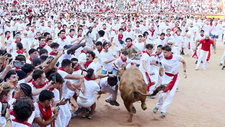 Release of young bulls in the Pamplona Bullring after the fifth bull run of San Fermín 2026, in Pamplona on July 11, 2026 Suelta de vaquillas en la Plaza de Toros de Pamplona tras el quinto de San FermI­n 2026, en Pamplona a 11 de julio de 2026 Inigo Alzugaray Cordon Press Cordon Press 