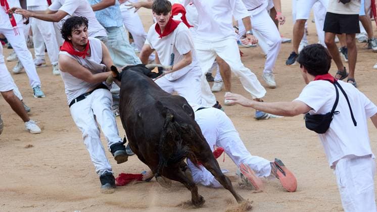 Release of young bulls in the Pamplona Bullring after the fifth bull run of San Fermín 2026, in Pamplona on July 11, 2026 Suelta de vaquillas en la Plaza de Toros de Pamplona tras el quinto de San FermI­n 2026, en Pamplona a 11 de julio de 2026 Inigo Alzugaray Cordon Press Cordon Press 
