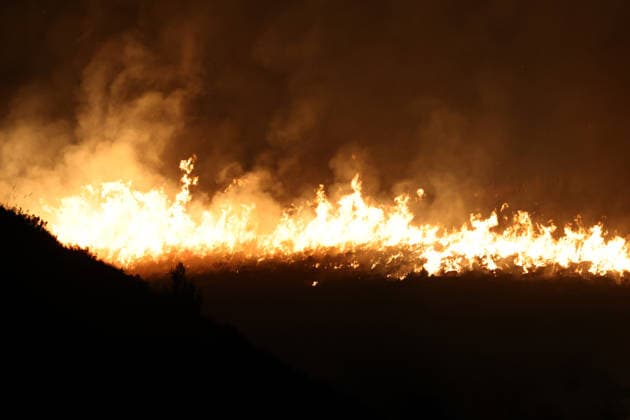 Firefighters battle wildfires in western and southern Sicily SICILY, ITALY - JULY 11: Flames consume maquis areas as wildfires spread across the western and southern parts of Sicily, Italy on July 11, 2026. Following initial overnight responses by ground crews with water tenders, helicopters and firefighting aircraft launched aerial operations at sunrise to bring the wind-driven fires under control. Alberto Lo Bianco Anadolu Sicily Italy. Editorial use only. Please get in touch for any other usage.  Copyright: x2026xAnadoluxAlbertoxLoxBiancox