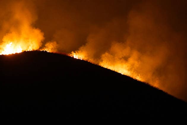 Firefighters battle wildfires in western and southern Sicily SICILY, ITALY - JULY 11: Flames consume maquis areas as wildfires spread across the western and southern parts of Sicily, Italy on July 11, 2026. Following initial overnight responses by ground crews with water tenders, helicopters and firefighting aircraft launched aerial operations at sunrise to bring the wind-driven fires under control. Alberto Lo Bianco Anadolu Sicily Italy. Editorial use only. Please get in touch for any other usage.  Copyright: x2026xAnadoluxAlbertoxLoxBiancox
