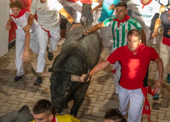 The fighting bulls from the ranch of JosÃ Escolar Gil run into the bullring through a tunnel when the sun rises above the bullring at the end of the fifth encierro , or running-of-the-bulls in the Fiesta de San Fermin and Feria del Toro in Pamplona, northern Spain, on Saturday July 11, 2026.  PAM20260711153 JimxHollander