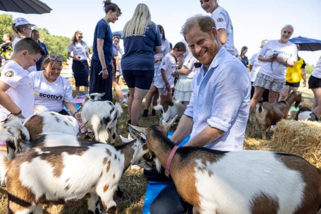 Prince Harry at Scotty s Summer Festival Prince Harry taking part in Goat Yoga Prince Harry taking part in Scotty s Summer Festival at Maxstoke Castle, Birmingham . Scotty s is a military bereavement charity that provides relief from the effects of grief for bereaved military children and young people who have experienced the death of a parent who served in the British Forces. 11 July 2026, Credit:Heathcliff O Malley for the Telegraph PA ROTA - B68 Avalon  Copyright: xHeathcliffxO MalleyxforxthexTelegraphx xPAxROTAx-xB68x xAvalonx 1115961867