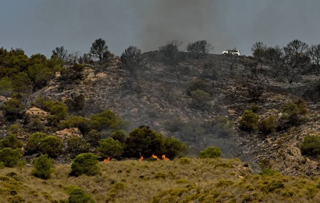 A view of a burnt area affected by wildfires in Bedar and Los Gallardos, near Almeria, Spain, Saturday, July 11, 2026 Vista de una zona quemada afectada por incendios forestales en Bedar y Los Gallardos, cerca de Almería, Espana, sábado 11 de julio de 2026 900 LOF Cordon Press Cordon Press  LOF - Spain Wildfire