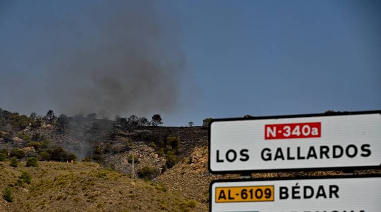 A view of a burnt area affected by wildfires in Bedar and Los Gallardos, near Almeria, Spain, Saturday, July 11, 2026 Vista de una zona quemada afectada por incendios forestales en Bedar y Los Gallardos, cerca de Almería, Espana, sábado 11 de julio de 2026 900 LOF Cordon Press Cordon Press  LOF - Spain Wildfire