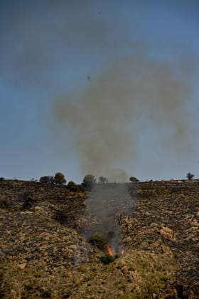 A view of a burnt area affected by wildfires in Bedar and Los Gallardos, near Almeria, Spain, Saturday, July 11, 2026 Vista de una zona quemada afectada por incendios forestales en Bedar y Los Gallardos, cerca de Almería, Espana, sábado 11 de julio de 2026 900 LOF Cordon Press Cordon Press  LOF - Spain Wildfire
