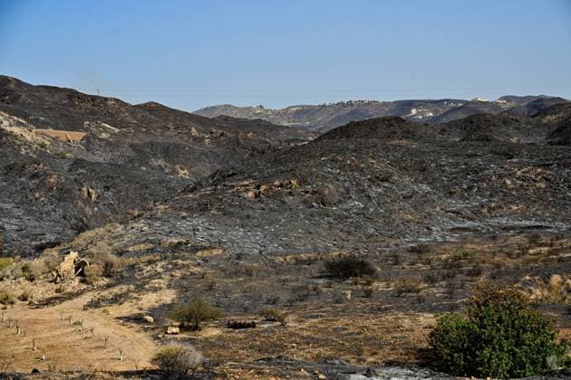 A view of a burnt area affected by wildfires in Bedar and Los Gallardos, near Almeria, Spain, Saturday, July 11, 2026 Vista de una zona quemada afectada por incendios forestales en Bedar y Los Gallardos, cerca de Almería, Espana, sábado 11 de julio de 2026 900 LOF Cordon Press Cordon Press  LOF - Spain Wildfire