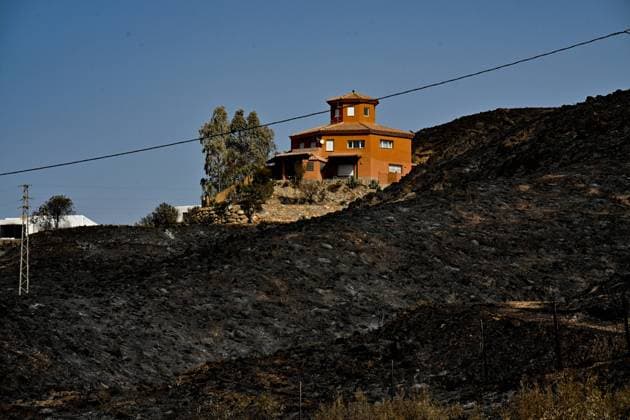 A view of a burnt area affected by wildfires in Bedar and Los Gallardos, near Almeria, Spain, Saturday, July 11, 2026 Vista de una zona quemada afectada por incendios forestales en Bedar y Los Gallardos, cerca de Almería, Espana, sábado 11 de julio de 2026 900 LOF Cordon Press Cordon Press  LOF - Spain Wildfire