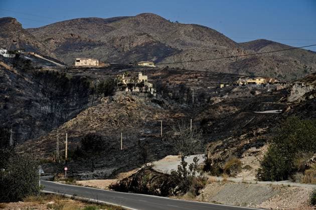 A view of a burnt area affected by wildfires in Bedar and Los Gallardos, near Almeria, Spain, Saturday, July 11, 2026 Vista de una zona quemada afectada por incendios forestales en Bedar y Los Gallardos, cerca de Almería, Espana, sábado 11 de julio de 2026 900 LOF Cordon Press Cordon Press  LOF - Spain Wildfire