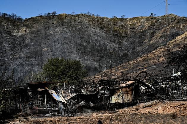 A view of a burnt area affected by wildfires in Bedar and Los Gallardos, near Almeria, Spain, Saturday, July 11, 2026 Vista de una zona quemada afectada por incendios forestales en Bedar y Los Gallardos, cerca de Almería, Espana, sábado 11 de julio de 2026 900 LOF Cordon Press Cordon Press  LOF - Spain Wildfire