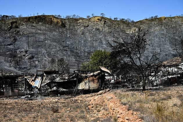 A view of a burnt area affected by wildfires in Bedar and Los Gallardos, near Almeria, Spain, Saturday, July 11, 2026 Vista de una zona quemada afectada por incendios forestales en Bedar y Los Gallardos, cerca de Almería, Espana, sábado 11 de julio de 2026 900 LOF Cordon Press Cordon Press  LOF - Spain Wildfire