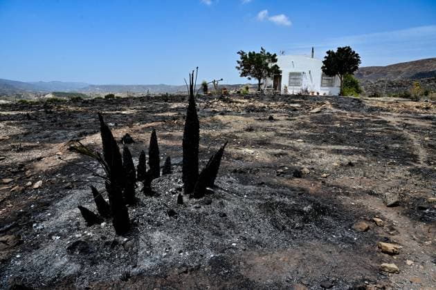A view of a burnt area affected by wildfires in Bedar and Los Gallardos, near Almeria, Spain, Saturday, July 11, 2026 Vista de una zona quemada afectada por incendios forestales en Bedar y Los Gallardos, cerca de Almería, Espana, sábado 11 de julio de 2026 900 LOF Cordon Press Cordon Press  LOF - Spain Wildfire
