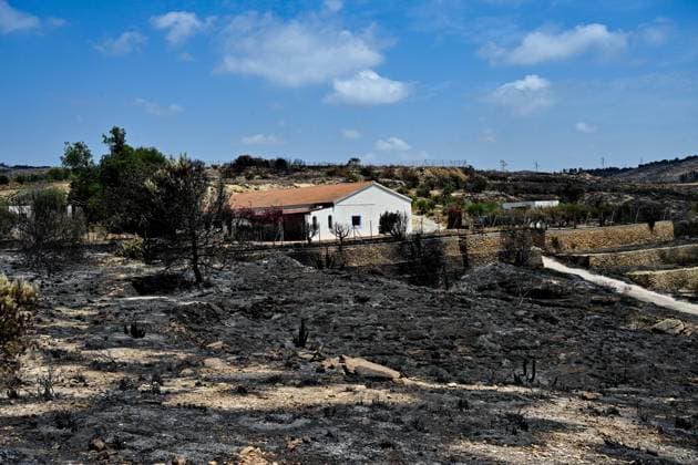 A view of a burnt area affected by wildfires in Bedar and Los Gallardos, near Almeria, Spain, Saturday, July 11, 2026 Vista de una zona quemada afectada por incendios forestales en Bedar y Los Gallardos, cerca de Almería, Espana, sábado 11 de julio de 2026 900 LOF Cordon Press Cordon Press  LOF - Spain Wildfire