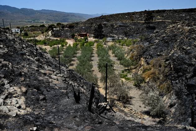 A view of a burnt area affected by wildfires in Bedar and Los Gallardos, near Almeria, Spain, Saturday, July 11, 2026 Vista de una zona quemada afectada por incendios forestales en Bedar y Los Gallardos, cerca de Almería, Espana, sábado 11 de julio de 2026 900 LOF Cordon Press Cordon Press  LOF - Spain Wildfire