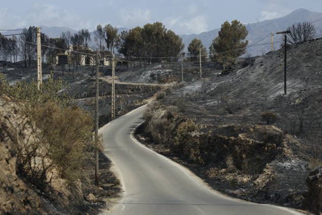 Deadly wildfire scorches Almeria province in Spain LOS GALLARDOS, SPAIN - JULY 11: Emergency operations continue near Bedar as security forces restrict access to the wildfire-affected area and direct local residents away from danger in Almeria province, Spain, on July 11, 2026. Firefighters, supported by helicopters and other emergency teams, carry out containment, surveillance and recovery operations across the burned landscape, while roads leading toward the fire zone remain under security control. Improved weather conditions helped crews gain the upper hand over the blaze and intensify efforts to prevent it from spreading further. The wildfire killed at least 12 people and burned about 6,600 hectares of forest, farmland and surrounding r  Copyright: x2026xAnadoluxPabloxMiranzox