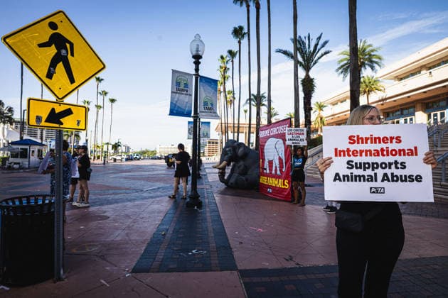 July 11, 2026, Tampa, Florida, USA: Members of the animal rights group PETA rally to call on the SHRINERS organization to ban itÃ¢â‚¬â ¢s member clubs from hosting old-style circuses which use live animals as part of the act at the Tampa Convention Center located in downtown Tampa. Tampa USA - ZUMAd256 20260711_znp_d256_002 Copyright: xDavexDeckerx