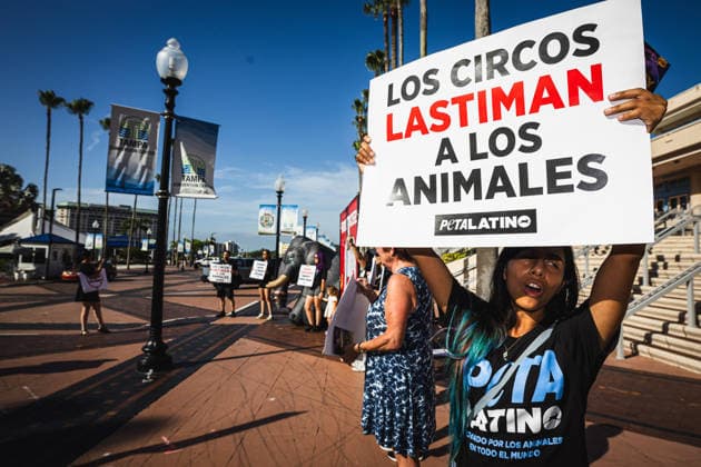 July 11, 2026, Tampa, Florida, USA: Members of the animal rights group PETA rally to call on the SHRINERS organization to ban itÃ¢â‚¬â ¢s member clubs from hosting old-style circuses which use live animals as part of the act at the Tampa Convention Center located in downtown Tampa. Tampa USA - ZUMAd256 20260711_znp_d256_004 Copyright: xDavexDeckerx