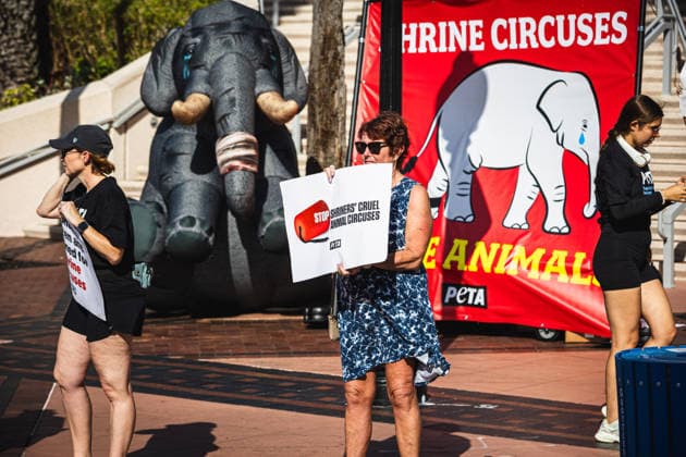 July 11, 2026, Tampa, Florida, USA: Members of the animal rights group PETA rally to call on the SHRINERS organization to ban itÃ¢â‚¬â ¢s member clubs from hosting old-style circuses which use live animals as part of the act at the Tampa Convention Center located in downtown Tampa. Tampa USA - ZUMAd256 20260711_znp_d256_006 Copyright: xDavexDeckerx