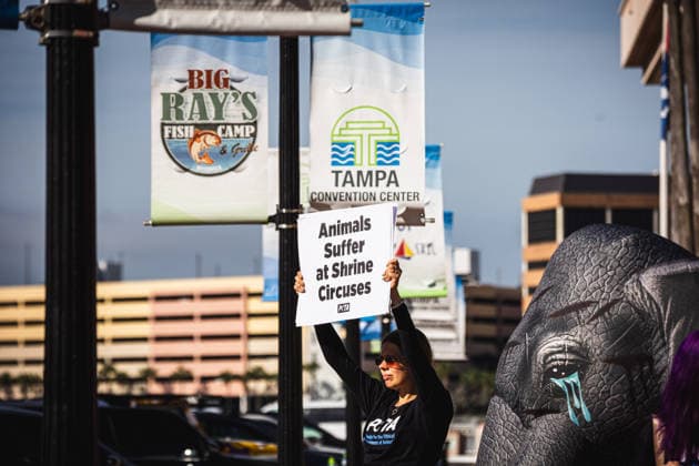 July 11, 2026, Tampa, Florida, USA: Members of the animal rights group PETA rally to call on the SHRINERS organization to ban itÃ¢â‚¬â ¢s member clubs from hosting old-style circuses which use live animals as part of the act at the Tampa Convention Center located in downtown Tampa. Tampa USA - ZUMAd256 20260711_znp_d256_009 Copyright: xDavexDeckerx