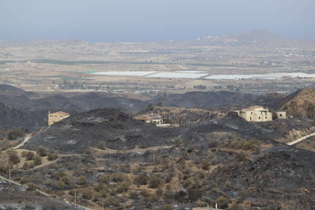 Deadly wildfire scorches Almeria province in Spain LOS GALLARDOS, SPAIN - JULY 11: Emergency operations continue near Bedar as security forces restrict access to the wildfire-affected area and direct local residents away from danger in Almeria province, Spain, on July 11, 2026. Firefighters, supported by helicopters and other emergency teams, carry out containment, surveillance and recovery operations across the burned landscape, while roads leading toward the fire zone remain under security control. Improved weather conditions helped crews gain the upper hand over the blaze and intensify efforts to prevent it from spreading further. The wildfire killed at least 12 people and burned about 6,600 hectares of forest, farmland and surrounding r  Copyright: x2026xAnadoluxPabloxMiranzox