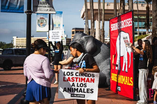 July 11, 2026, Tampa, Florida, USA: Members of the animal rights group PETA rally to call on the SHRINERS organization to ban itÃ¢â‚¬â ¢s member clubs from hosting old-style circuses which use live animals as part of the act at the Tampa Convention Center located in downtown Tampa. Tampa USA - ZUMAd256 20260711_znp_d256_017 Copyright: xDavexDeckerx