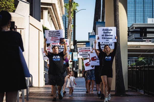 July 11, 2026, Tampa, Florida, USA: Members of the animal rights group PETA rally to call on the SHRINERS organization to ban itÃ¢â‚¬â ¢s member clubs from hosting old-style circuses which use live animals as part of the act at the Tampa Convention Center located in downtown Tampa. Tampa USA - ZUMAd256 20260711_znp_d256_021 Copyright: xDavexDeckerx