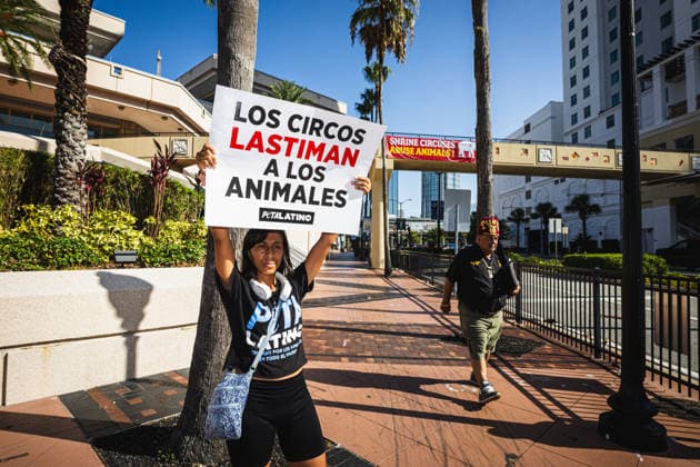 July 11, 2026, Tampa, Florida, USA: Members of the animal rights group PETA rally to call on the SHRINERS organization to ban itÃ¢â‚¬â ¢s member clubs from hosting old-style circuses which use live animals as part of the act at the Tampa Convention Center located in downtown Tampa. Tampa USA - ZUMAd256 20260711_znp_d256_025 Copyright: xDavexDeckerx