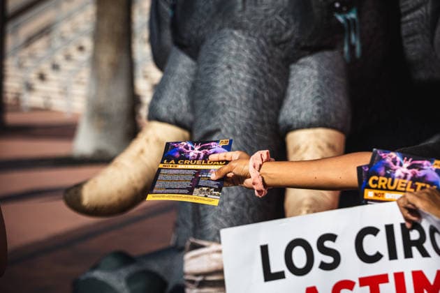 July 11, 2026, Tampa, Florida, USA: Members of the animal rights group PETA rally to call on the SHRINERS organization to ban itÃ¢â‚¬â ¢s member clubs from hosting old-style circuses which use live animals as part of the act at the Tampa Convention Center located in downtown Tampa. Tampa USA - ZUMAd256 20260711_znp_d256_030 Copyright: xDavexDeckerx