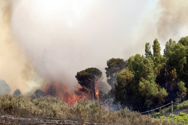 Wildfires continue on the Italian island of Sicily PALERMO, ITALY - JULY 11: Smoke rises after a wildfire that breaks out in a maquis-shrubland area near the Partinico municipality of Palermo in Sicily, Italy on July 11, 2026. Firefighting teams intervened with ground crews, water-discharging aircraft, and helicopters to bring the blaze under control Alberto Lo Bianco Anadolu Sicily Italy. Editorial use only. Please get in touch for any other usage.  Copyright: x2026xAnadoluxAlbertoxLoxBiancox