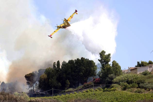Wildfires continue on the Italian island of Sicily PALERMO, ITALY - JULY 11: Smoke rises after a wildfire that breaks out in a maquis-shrubland area near the Partinico municipality of Palermo in Sicily, Italy on July 11, 2026. Firefighting teams intervened with ground crews, water-discharging aircraft, and helicopters to bring the blaze under control Alberto Lo Bianco Anadolu Sicily Italy. Editorial use only. Please get in touch for any other usage.  Copyright: x2026xAnadoluxAlbertoxLoxBiancox
